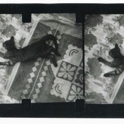 Vladimir Cervenka Macke12