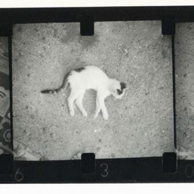 Vladimir Cervenka Macke13