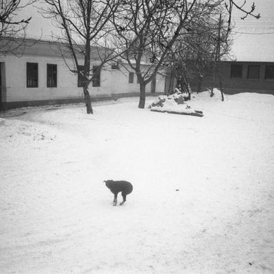 Vladimir Cervenka Psi14