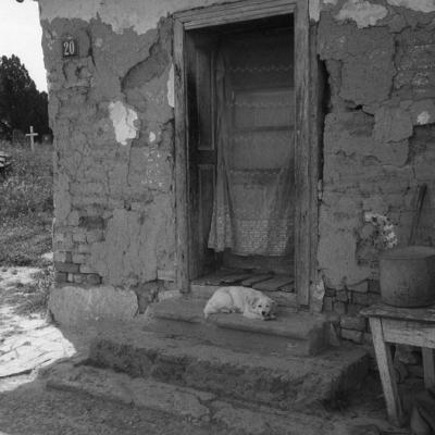 Vladimir Cervenka Psi20