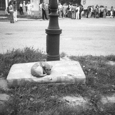 Vladimir Cervenka Psi21