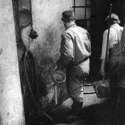 Vladimir Cervenka Servis04