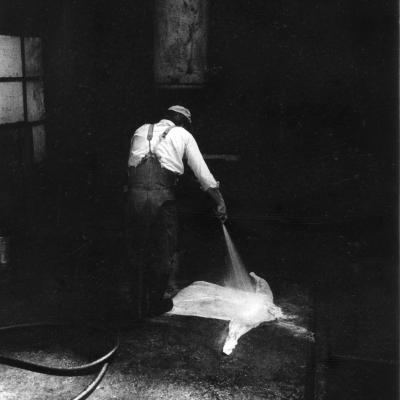 Vladimir Cervenka Servis20