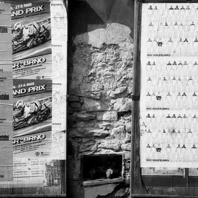 Vladimir Cervenka Pragemsia02