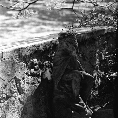 Vladimir Cervenka Pragemsia10