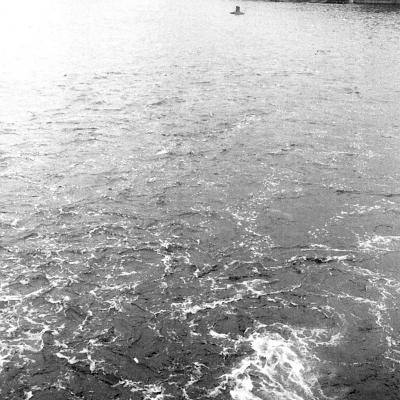 Vladimir Cervenka Pragemsia12