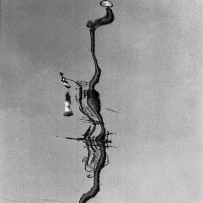 Vladimir Cervenka Pragemsia15