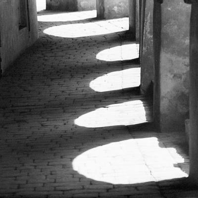 Vladimir Cervenka Pragemsia17