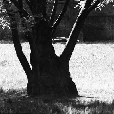 Vladimir Cervenka Pragemsia18