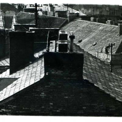 Vladimir Cervenka Pragemsia30