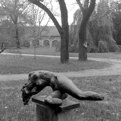 Vladimir Cervenka Pragemsia34