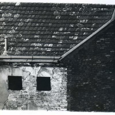 Vladimir Cervenka Pragemsia44