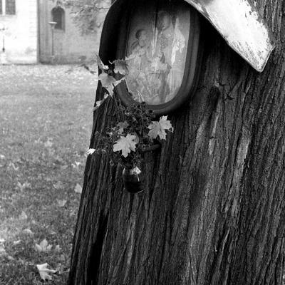 Vladimir Cervenka Pragemsia45