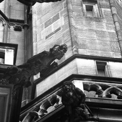 Vladimir Cervenka Pragemsia56