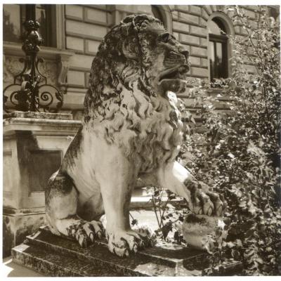 Vladimir Cervenka Sremski Karlovci02