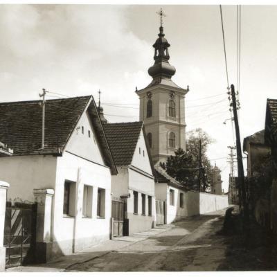 Vladimir Cervenka Sremski Karlovci05