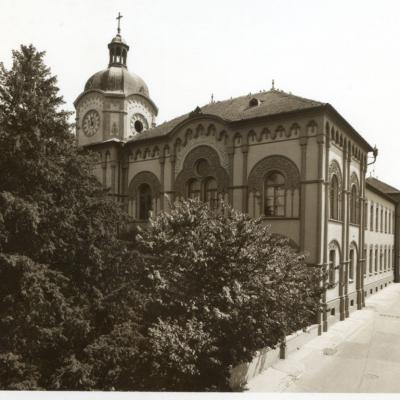 Vladimir Cervenka Sremski Karlovci14