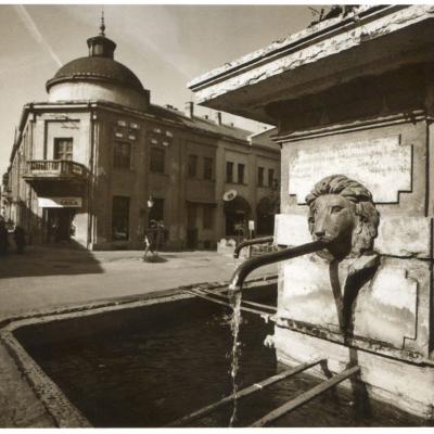 Vladimir Cervenka Sremski Karlovci16