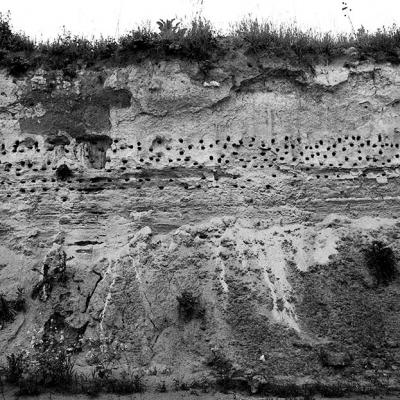 Vladimir Cervenka Tera 12