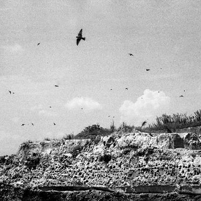 Vladimir Cervenka Tera 15