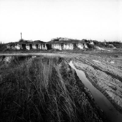 Vladimir Cervenka Tera 16