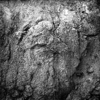 Vladimir Cervenka Tera 17