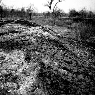 Vladimir Cervenka Tera 18