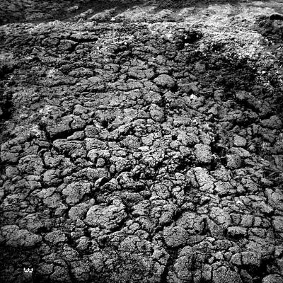 Vladimir Cervenka Tera 19