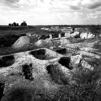 Vladimir Cervenka Tera 26