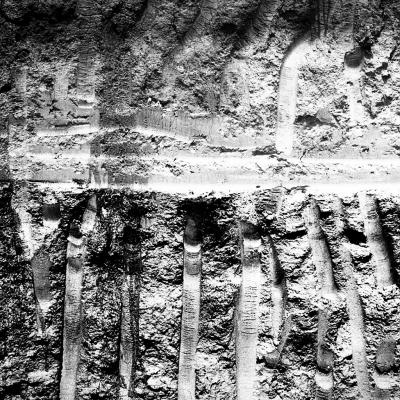 Vladimir Cervenka Tera 29