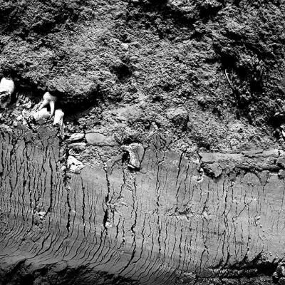 Vladimir Cervenka Tera 30