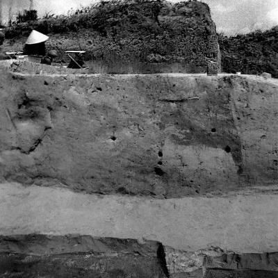 Vladimir Cervenka Tera 31