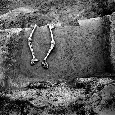 Vladimir Cervenka Tera 33