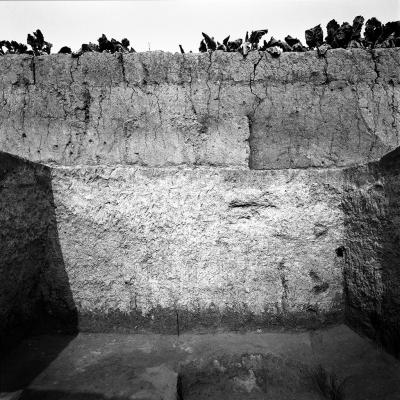 Vladimir Cervenka Tera 42