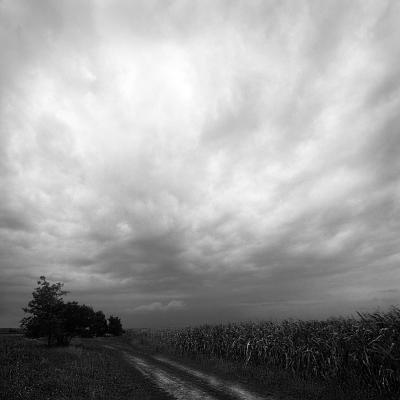 Vladimir Cervenka Oblaci 31