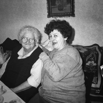 Vladimir Cervenka Coveci I Covecice 22