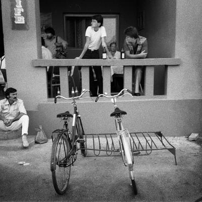 Vladimir Cervenka Coveci I Covecice 37