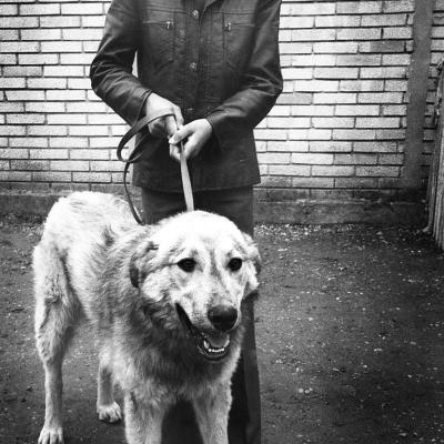 Vladimir Cervenka Coveci I Covecice 45