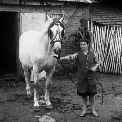 Vladimir Cervenka Coveci I Covecice 46