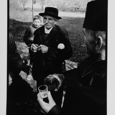 Vladimir Cervenka Banat12