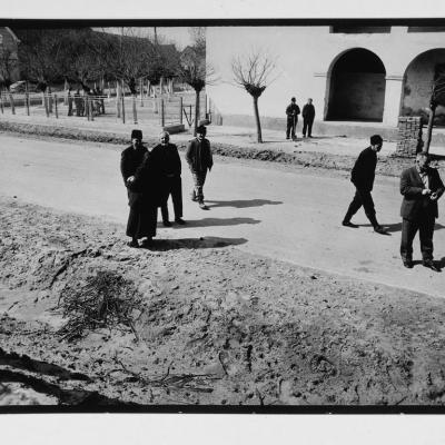 Vladimir Cervenka Banat17