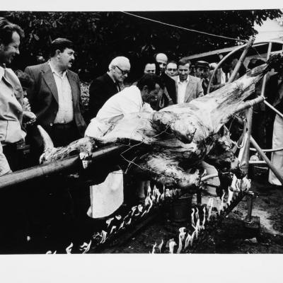 Vladimir Cervenka Banat24