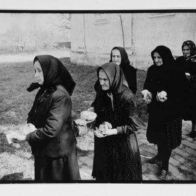 Vladimir Cervenka Banat31