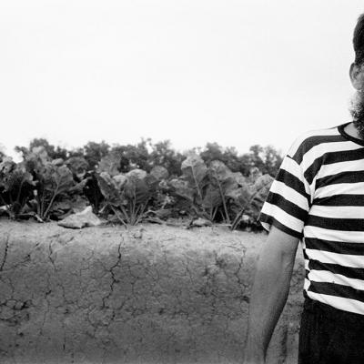 Vladimir Cervenka Portret 23