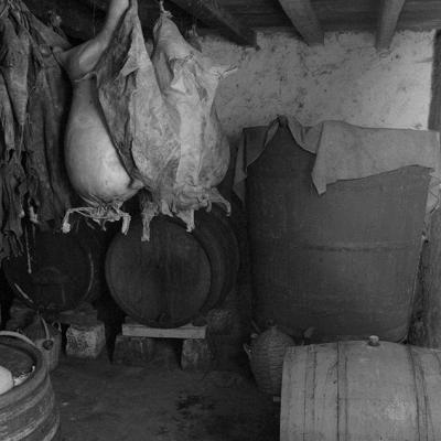 Ljudska Obitavalista 34