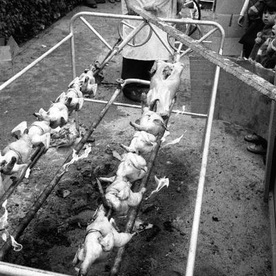 Vladimir Cervenka Proslave15