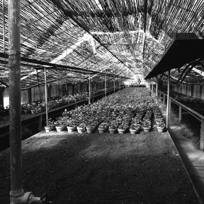 Vladimir Cervenka Prostori 1 21