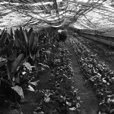 Vladimir Cervenka Prostori 1 23