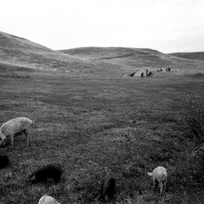 Vladimir Cervenka Prostori 1 49