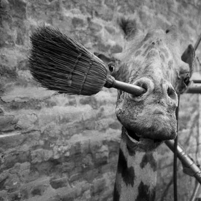 Vladimir Cervenka Objekti 1 25